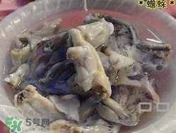 癩蛤蟆能吃嗎？癩蛤蟆可以吃嗎