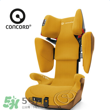 concord中文是什么？concord的中文名字怎么翻譯？