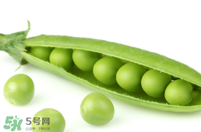 生豌豆有毒嗎？豌豆生吃有毒嗎？