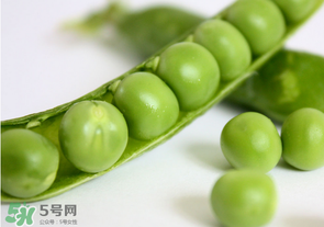 生豌豆有毒嗎？豌豆生吃有毒嗎？