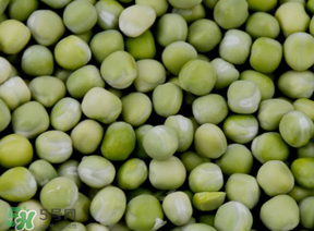 青豆可以冷凍嗎？青豆怎么冷凍？