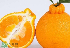 丑八怪水果多少錢一斤？不知火雜柑一斤多少錢