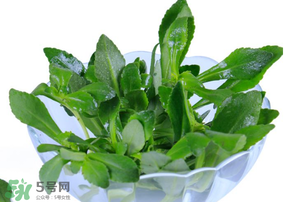 救心菜有毒嗎？救心菜怎么吃沒(méi)毒？