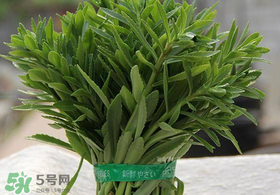救心菜有毒嗎？救心菜怎么吃沒(méi)毒？