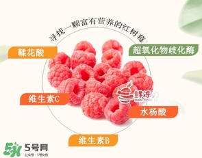 樹莓可以生吃嗎？樹莓怎么吃？