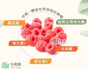 樹(shù)莓怎么保存？樹(shù)莓保存方法