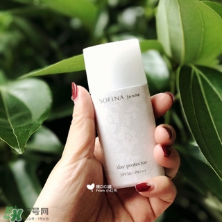 蘇菲娜白蕾絲多少錢？蘇菲娜白蕾絲日本價格