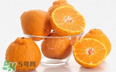 丑八怪水果多少錢一斤？不知火雜柑一斤多少錢