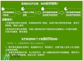 貴妃芒果硬的能吃嗎？貴妃芒果青的能吃嗎