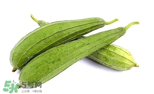 孕婦能吃絲瓜嗎？孕婦能不能吃絲瓜