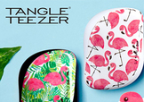 tangle teezer火烈鳥梳子多少錢？tangle teezer和skinnydip合作梳