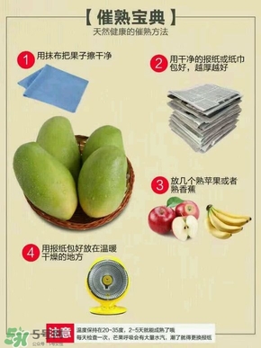 貴妃芒果硬的能吃嗎？貴妃芒果青的能吃嗎