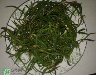 陽溝菜孕婦可以吃嗎？孕婦能吃陽溝菜嗎？