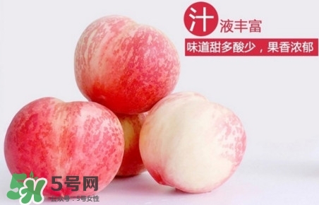 水蜜桃什么時(shí)候熟？水蜜桃成熟時(shí)間