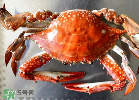 六月份有螃蟹嗎？六月份吃什么螃蟹？