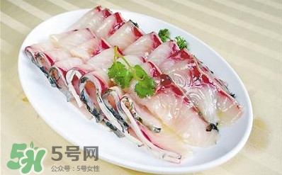 生魚是什么魚？生魚片是什么魚