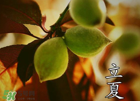 立夏吃什么水果？立夏吃什么水果好？