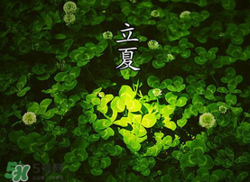 立夏吃什么水果？立夏吃什么水果好？