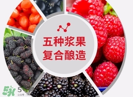 樹(shù)莓可以泡酒嗎？樹(shù)莓怎么泡酒？