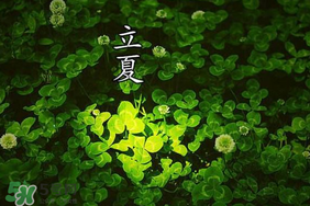 立夏和夏至有什么區(qū)別？立夏和夏至的區(qū)別