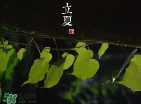 2017年立夏會下雨嗎？2017年立夏下雨好嗎？