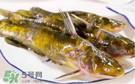嘎魚怎么做最好吃？嘎魚的做法大全