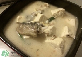 黑魚能和豆腐一起吃嗎？豆腐可以和黑魚一起吃嗎