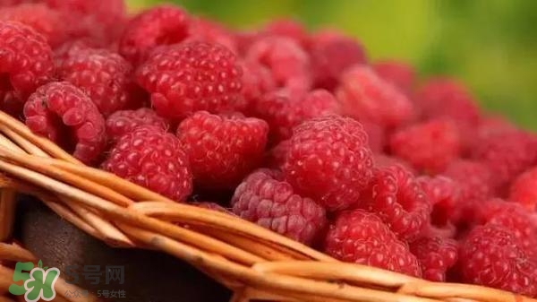 樹(shù)莓可以直接吃嗎？樹(shù)莓里的小籽能吃嗎？