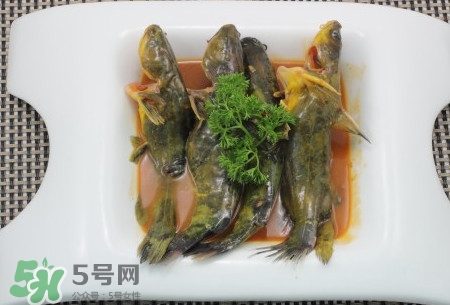 嘎魚不適合什么人吃？黃顙魚不適合什么人吃