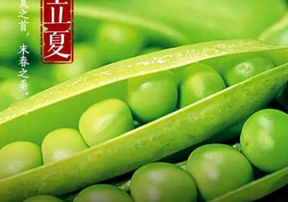 立夏吃什么好？立夏吃什么蔬菜？