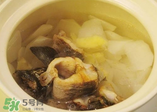 黑魚能和蘿卜一起吃嗎？黑魚能和胡蘿卜同食嗎