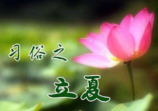 立夏和夏至有什么區(qū)別？立夏和夏至的區(qū)別