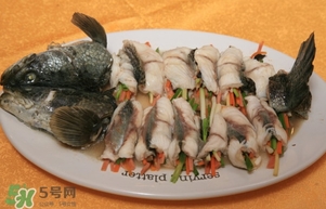 生魚是什么魚？生魚片是什么魚