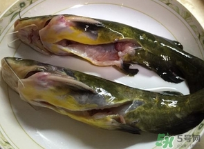 嘎魚是鯰魚嗎？嘎魚是黃辣丁嗎