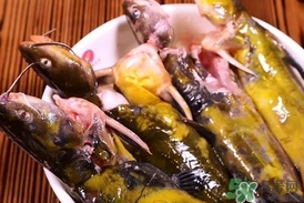 嘎魚是鯰魚嗎？嘎魚是黃辣丁嗎