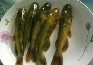 嘎魚是海魚嗎？嘎魚是什么魚