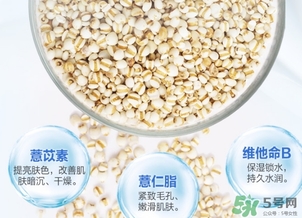 薏仁水可以天天敷嗎？薏仁水幾天敷一次？