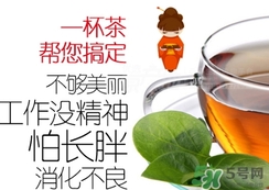 脂流茶成分 脂流茶可以減肥嗎？