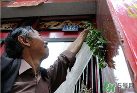 端午節(jié)為什么掛艾草？端午節(jié)掛艾草的由來
