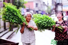 端午節(jié)為什么掛艾草？端午節(jié)掛艾草的由來