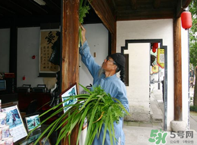 端午節(jié)門上掛的那個草叫什么？端午節(jié)掛門上的叫什么？