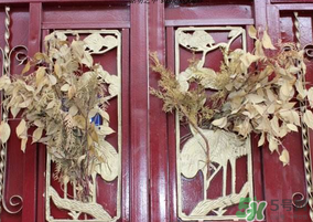 端午節(jié)門上掛的那個草叫什么？端午節(jié)掛門上的叫什么？