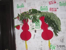 端午節(jié)門上掛的那個草叫什么？端午節(jié)掛門上的叫什么？
