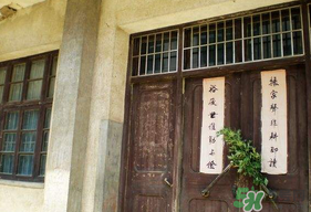 端午節(jié)插門上的是什么？端午節(jié)為什么要插艾草？