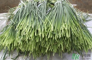 蒜薹跟什么相克？蒜薹不能和什么一起吃