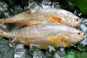 端午節(jié)為什么要吃黃魚？端午節(jié)吃黃魚的由來