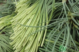 蒜薹怎么保存？蒜薹如何保存