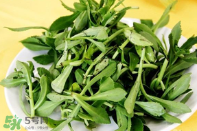 養(yǎng)心菜能生吃嗎？養(yǎng)心菜怎么吃？