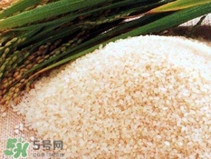 包粽子的米要泡多久？包粽子的米是什么米？