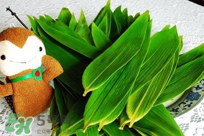 包粽子的葉子叫什么？包粽子的葉子怎么處理？